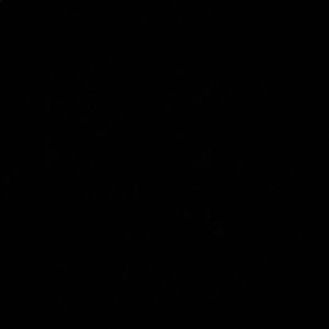 Meet your Posher, Jade